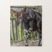 Okapi im Zoo-Puzzle Puzzle (Vertikal)