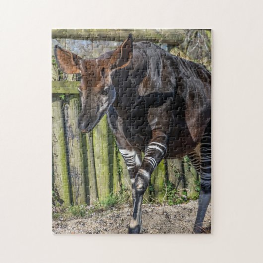Okapi im Zoo-Puzzle Puzzle (Vertikal)