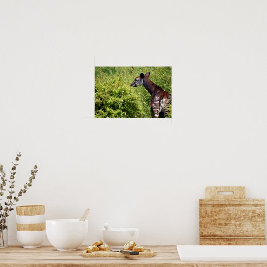 Okapi in der Vegetation Poster (Küche)