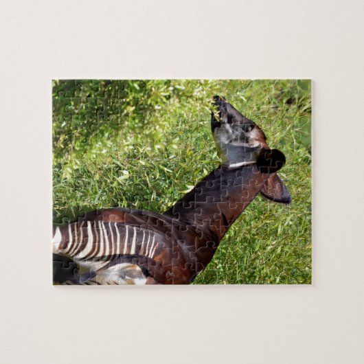 Okapi in der Vegetation Puzzle (Horizontal)