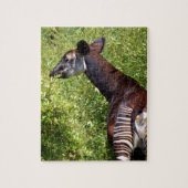 Okapi in der Vegetation Puzzle (Vertikal)