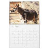 Okapi Kalender (Mär 2026)