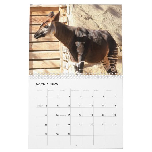 Okapi Kalender (Mär 2026)