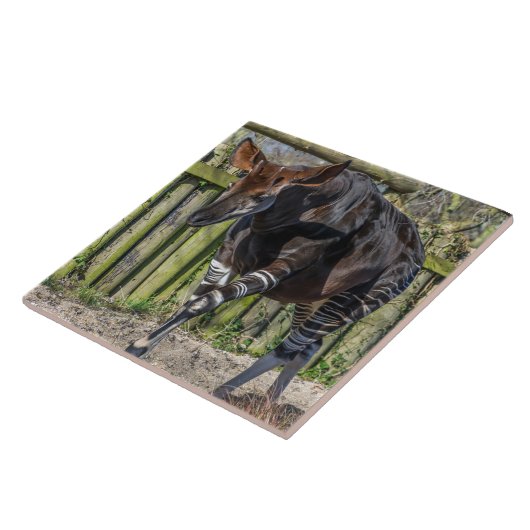 Okapi-Keramik Fliese (Seite)