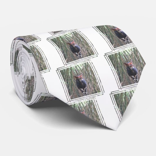 Okapi-Krawatte Krawatte (Gerollt)