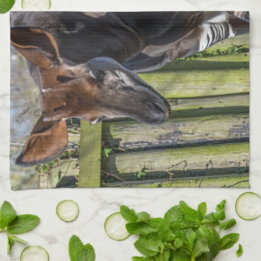 Okapi Küchentuch (Gefaltet)