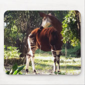 Okapi Mousepad (Vorne)