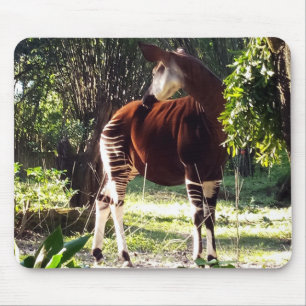 Okapi Mousepad