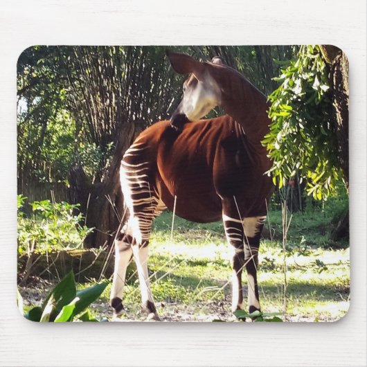 Okapi Mousepad (Vorne)