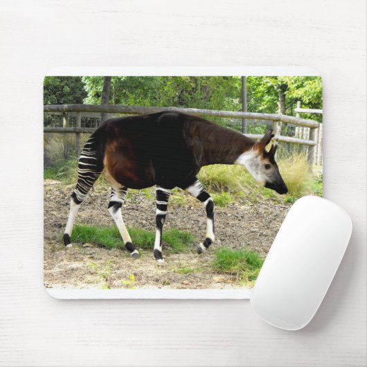 Okapi Mousepad (Mit Mouse)