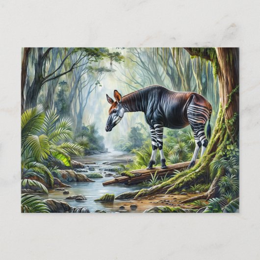 Okapi - Museo in Rainforest Wildlife Postkarte (Vorderseite)