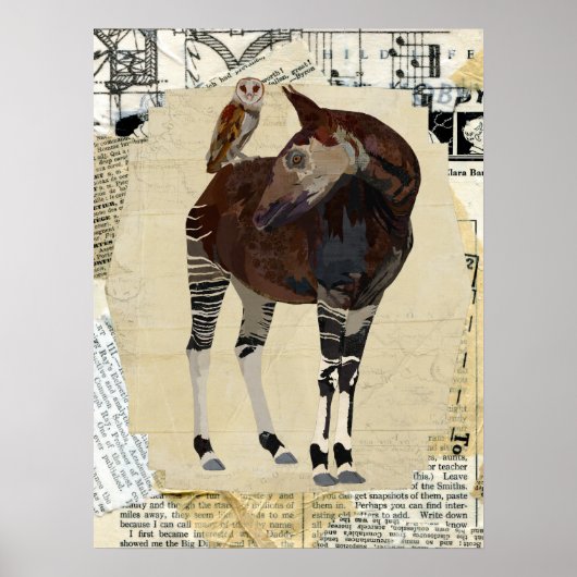 OKAPI & OWL Kunst Poster (Vorne)