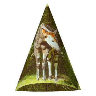 Okapi Partyhütchen
