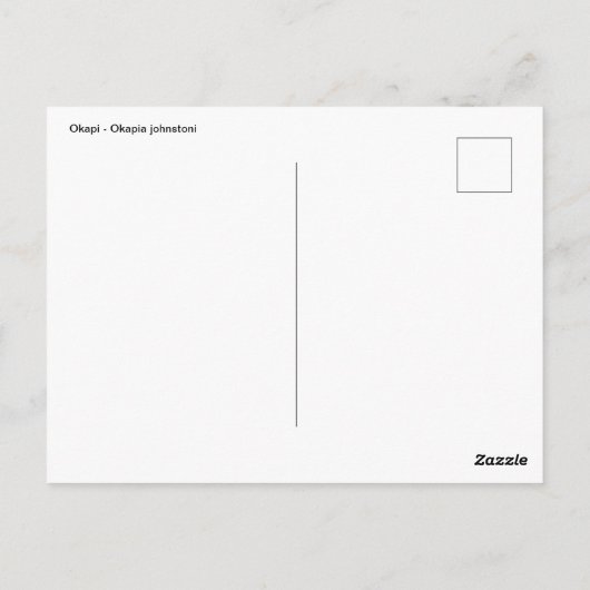 Okapi-Portrait Postkarte (Rückseite)