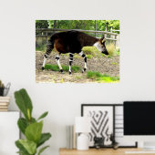 Okapi Poster (Heimbüro)