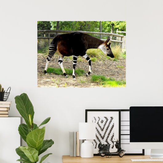 Okapi Poster (Heimbüro)