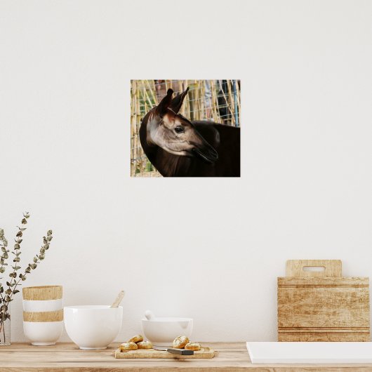 Okapi Poster (Küche)