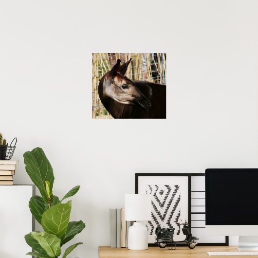 Okapi Poster (Heimbüro)