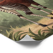 Okapi Poster (Ecke)
