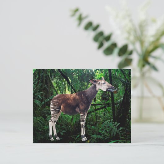 Okapi Postkarte (Stehend Vorderseite)