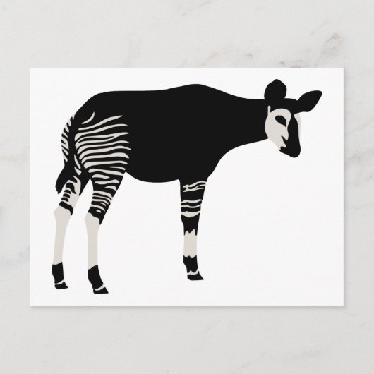 Okapi Postkarte (Vorderseite)