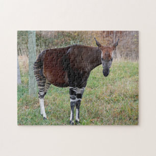 Okapi Puzzle