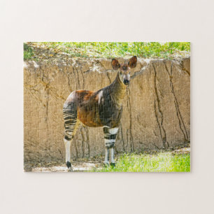 Okapi Puzzle
