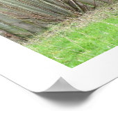 Okapi stehend durch einen Zaun Poster (Ecke)