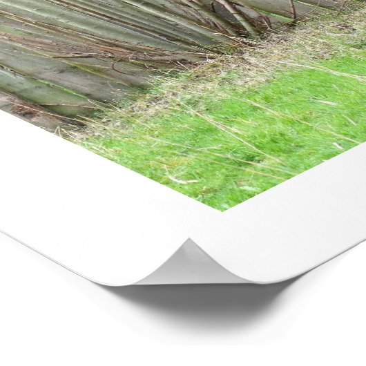 Okapi stehend durch einen Zaun Poster (Ecke)