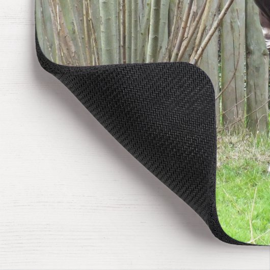 Okapi stehend mousepad (Ecke)