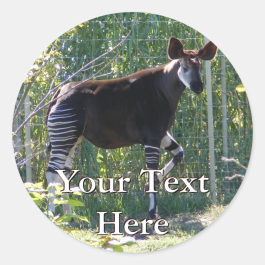 Okapi Stickers (Vorderseite)