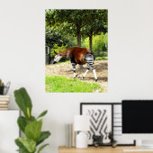 Okapi zu Fuß Poster (Heimbüro)