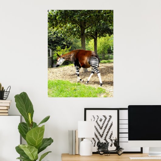 Okapi zu Fuß Poster (Heimbüro)