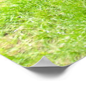 Okapi zu Fuß Poster (Ecke)