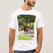 Okapi zu Fuß T-Shirt (Vorderseite)