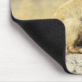 Okavango-Delta, Botsuana 2 Mousepad (Ecke)