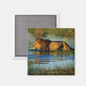 Okavango-Delta, Botsuana 3 Magnet (Vorderseite/Rückseite)