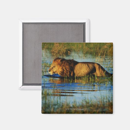 Okavango-Delta, Botsuana 3 Magnet (Vorderseite/Rückseite)