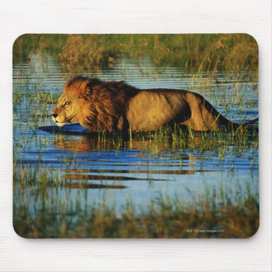 Okavango-Delta, Botsuana 3 Mousepad (Vorne)