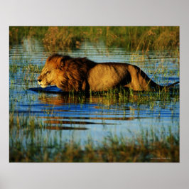 Okavango-Delta, Botsuana 3 Poster