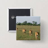 Okavango-Delta, Botsuana 4 Button (Vorne & Hinten)