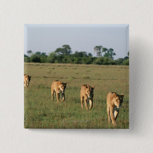 Okavango-Delta, Botsuana 4 Button (Vorderseite)