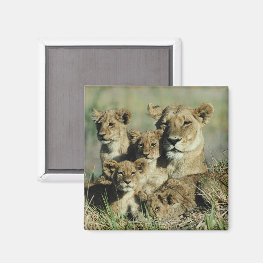 Okavango-Delta, Botsuana Magnet (Vorderseite/Rückseite)