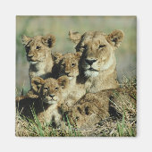 Okavango-Delta, Botsuana Magnet (Vorne)