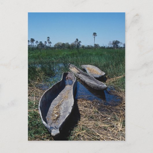 Okavango-Delta, Botsuana Postkarte (Vorderseite)