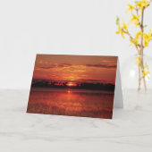 Okavango-Delta, Botswana 2©All right Karte (Gelbe Blume)