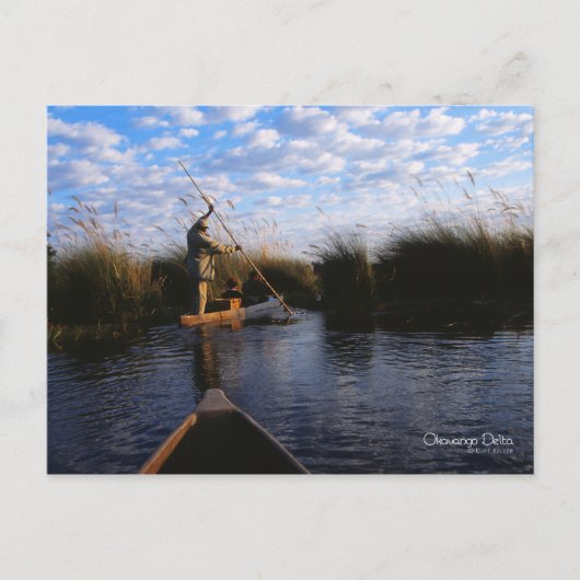 Okavango Delta Postkarte (Vorderseite)