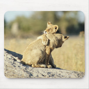 Okavango Dreieck, Botswana 2 Mousepad