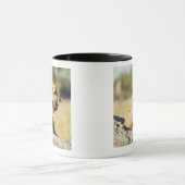 Okavango Dreieck, Botswana 2 Tasse (Zentrum)