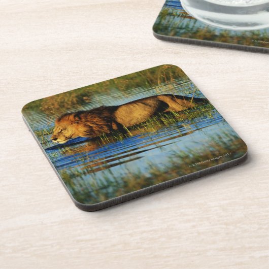 Okavango Dreieck, Botswana 3 Untersetzer (Linke Seite)